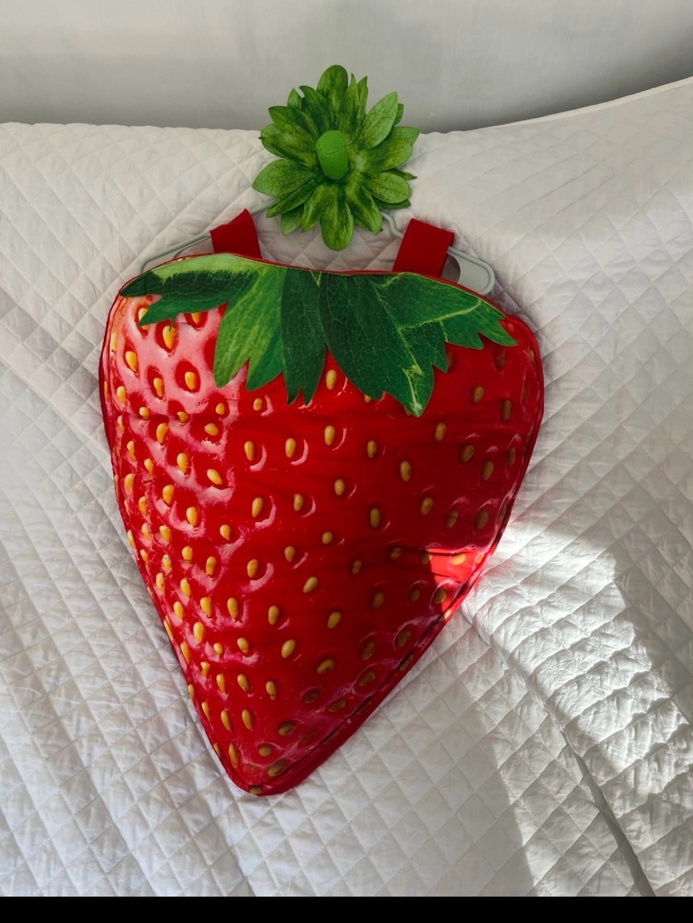 Target Kids Strawberry Backpack Costume – Red and Green
